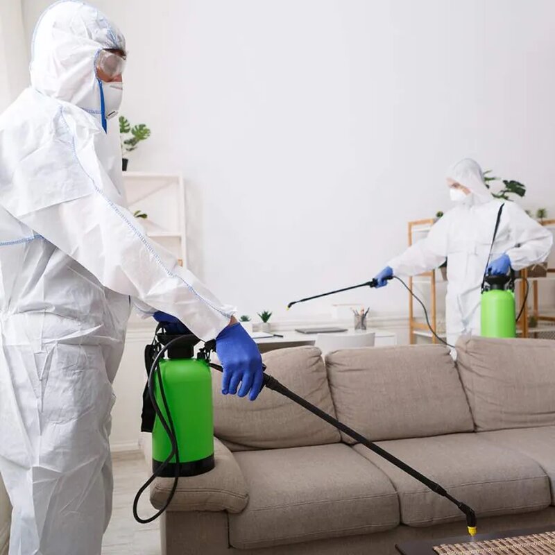 Micrist Serv - servicii deratizare, dezinsectie, dezinfectie